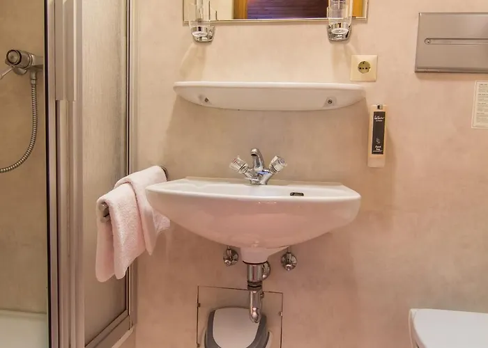 Schallerhof 宾馆 *